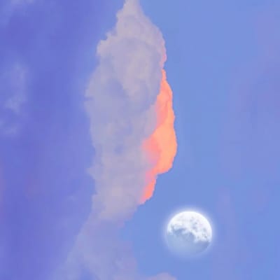 Dewi Lestari avatar